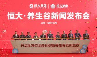 最新恒大爆料新闻报道,揭秘债务危机背后的真相